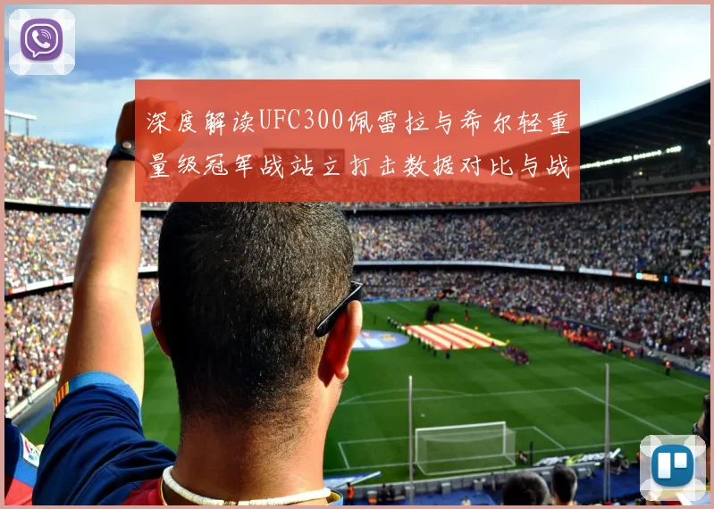 深度解读UFC300佩雷拉与希尔轻重量级冠军战站立打击数据对比与战术启示
