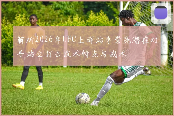 解析2026年UFC上海站李景亮潜在对手站立打击技术特点与战术